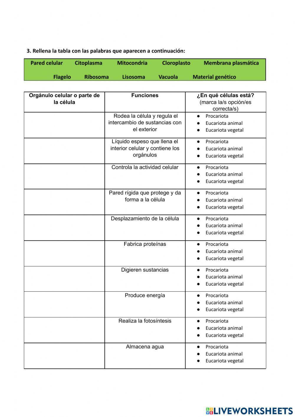 La célula eucariota