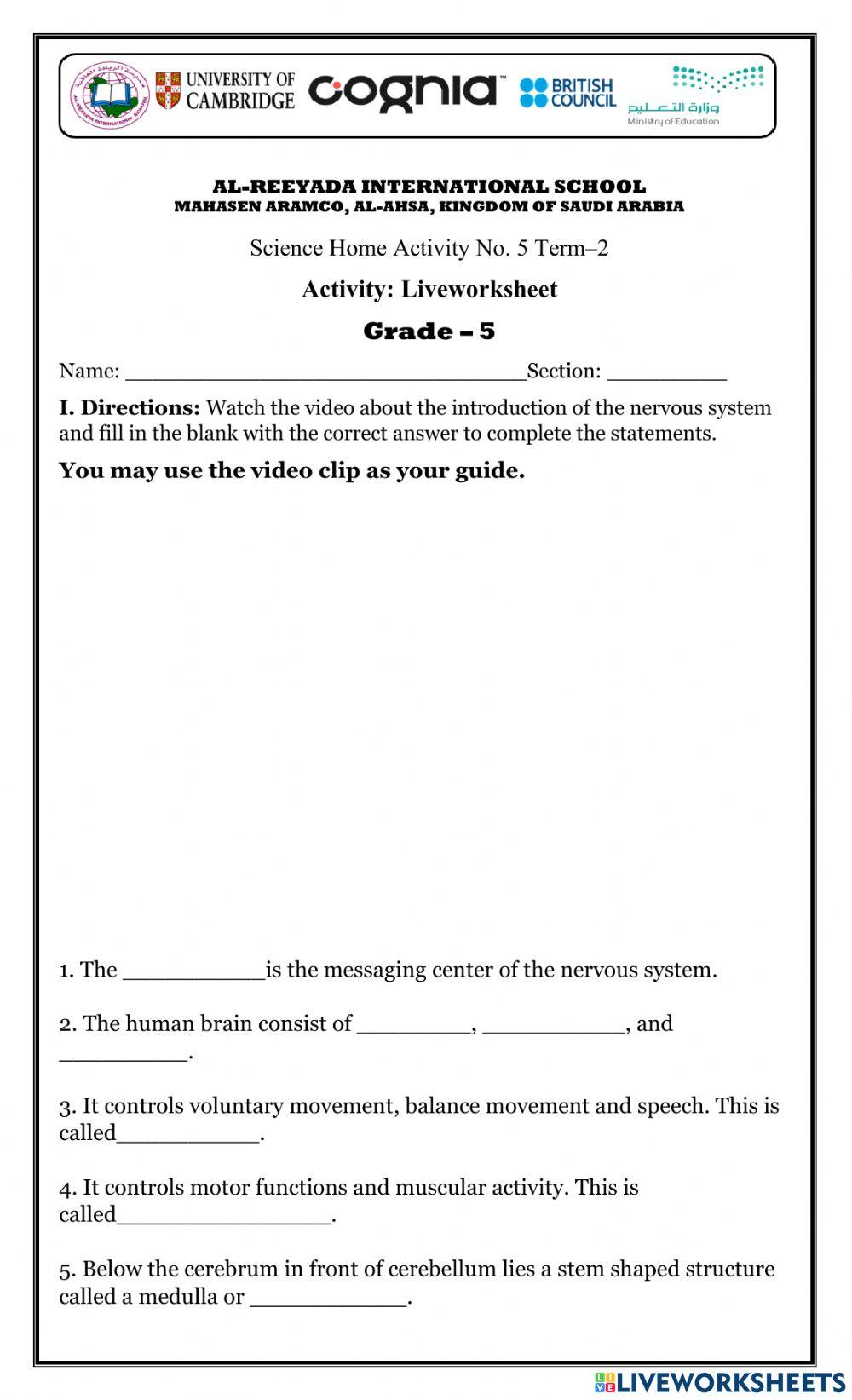 Science 5: HUman Nervous System