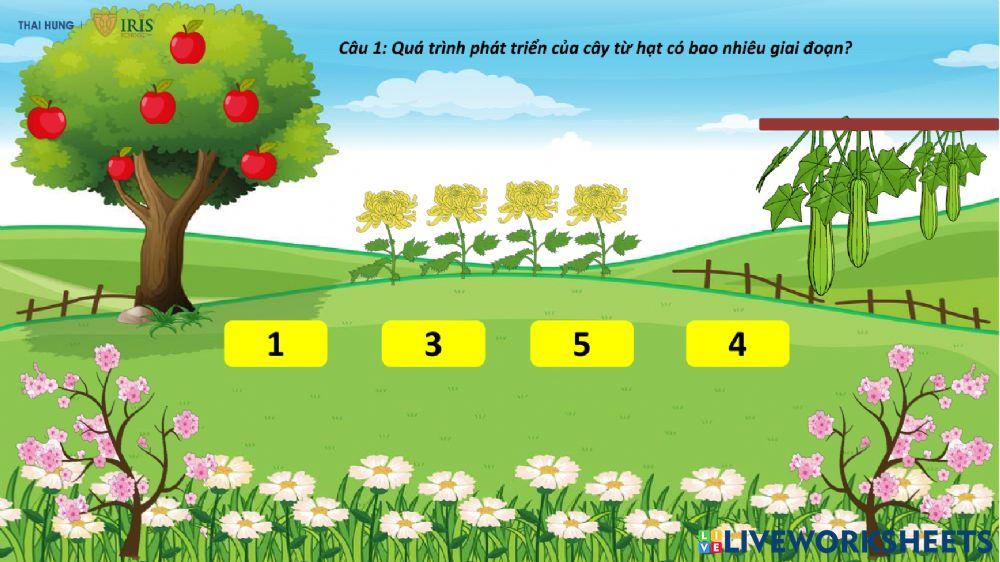 KPKH quá trình phát triển của cây từ hạt