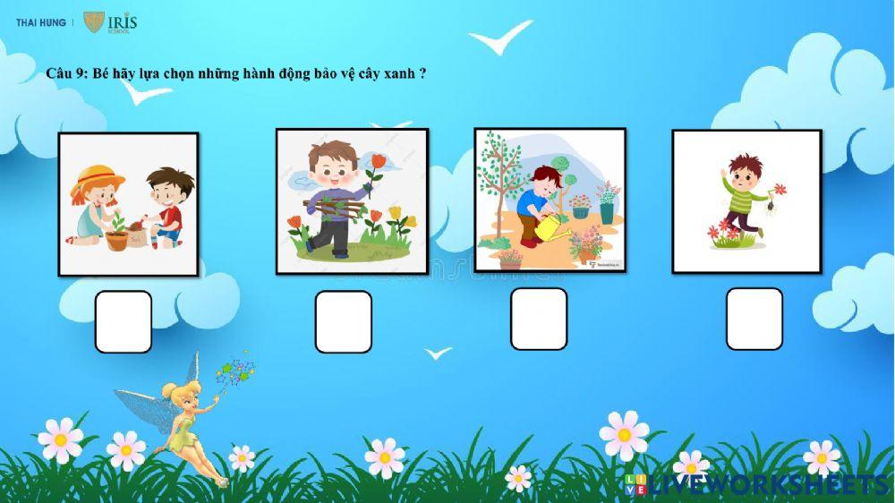 KPKH quá trình phát triển của cây từ hạt