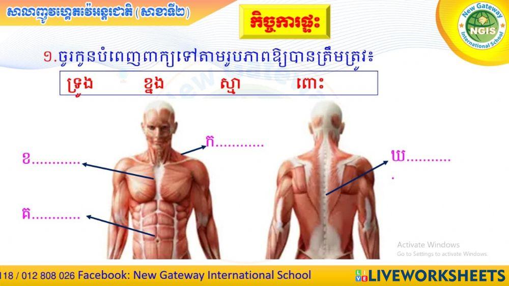 កិច្ចការផ្ទះ