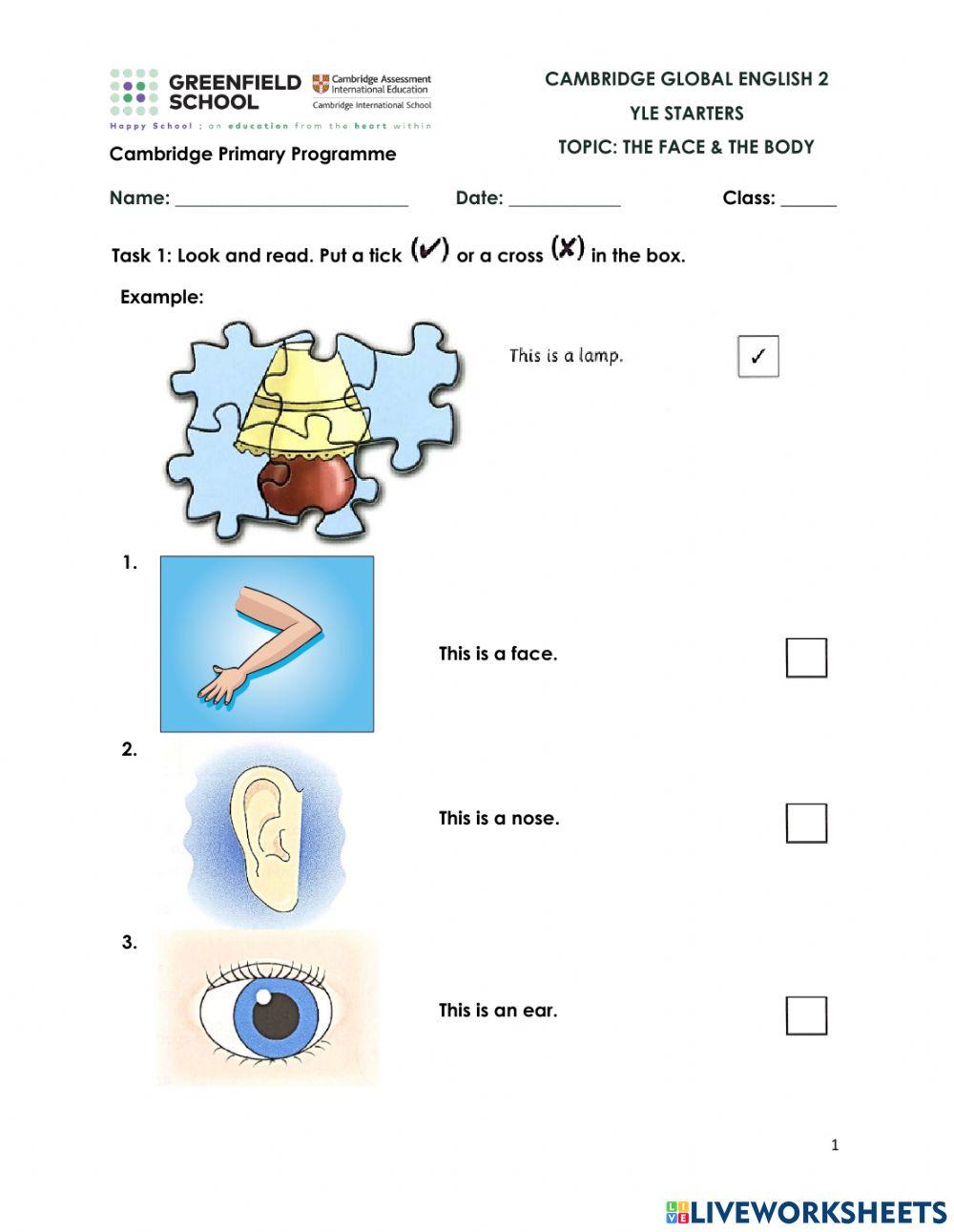 CGE2-Starters: The Body & The Face