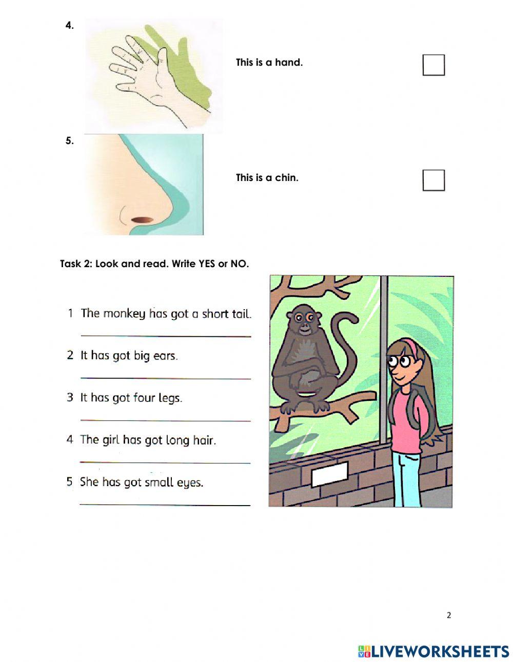 CGE2-Starters: The Body & The Face