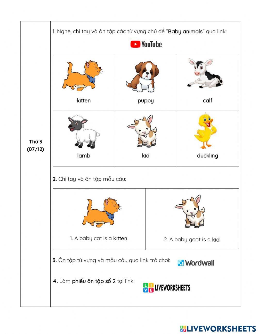 Hướng dẫn học- tuần 19