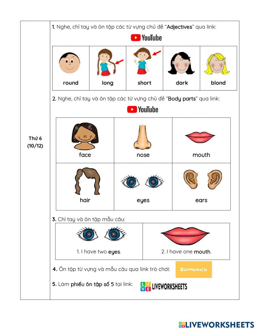 Hướng dẫn học- tuần 19