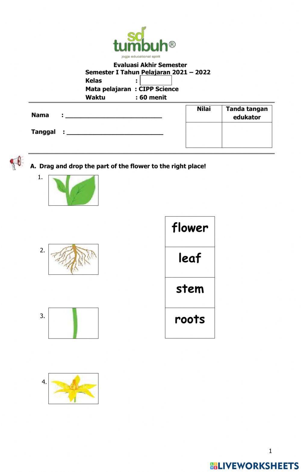 EAS-LA-CIPP Science-1-21.22-Mengenali Gambar