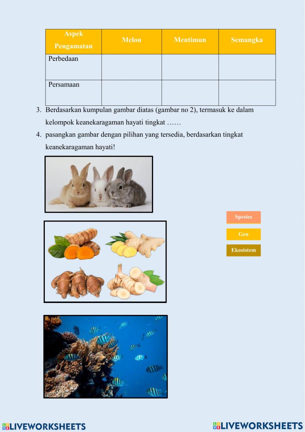 Keanekaragaman Hayati