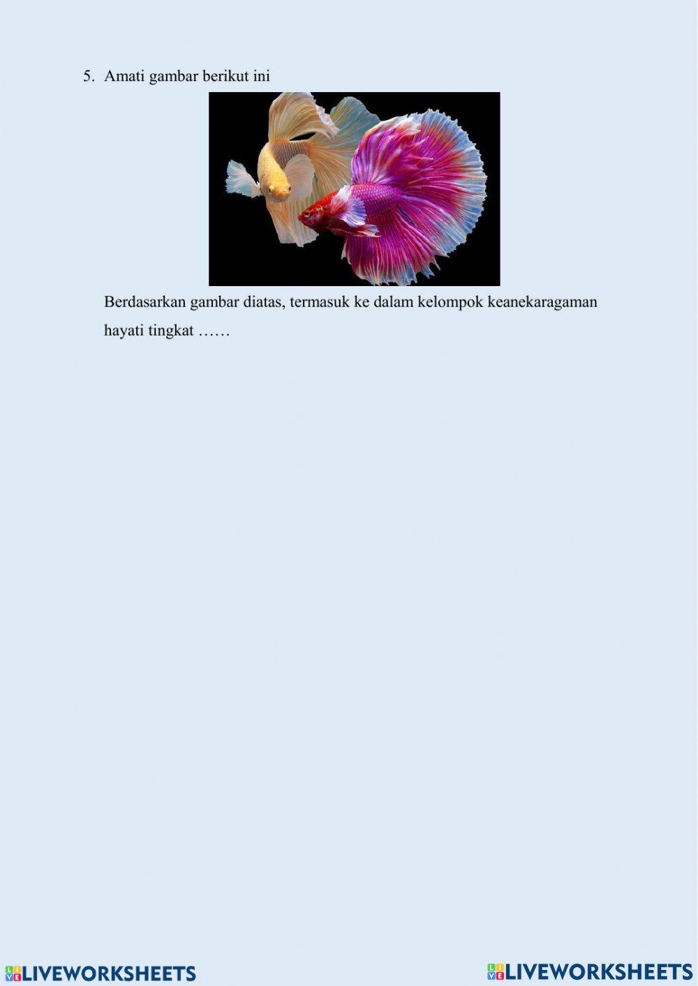 Keanekaragaman Hayati