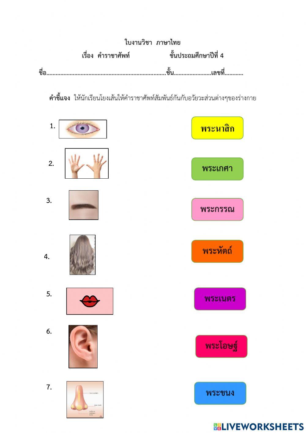 ใบงาน วิชาภาษาไทย ชั้น ป4 เรื่อง คำราชาศัพท์