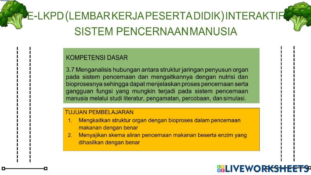 Sistem pencernaan makanan