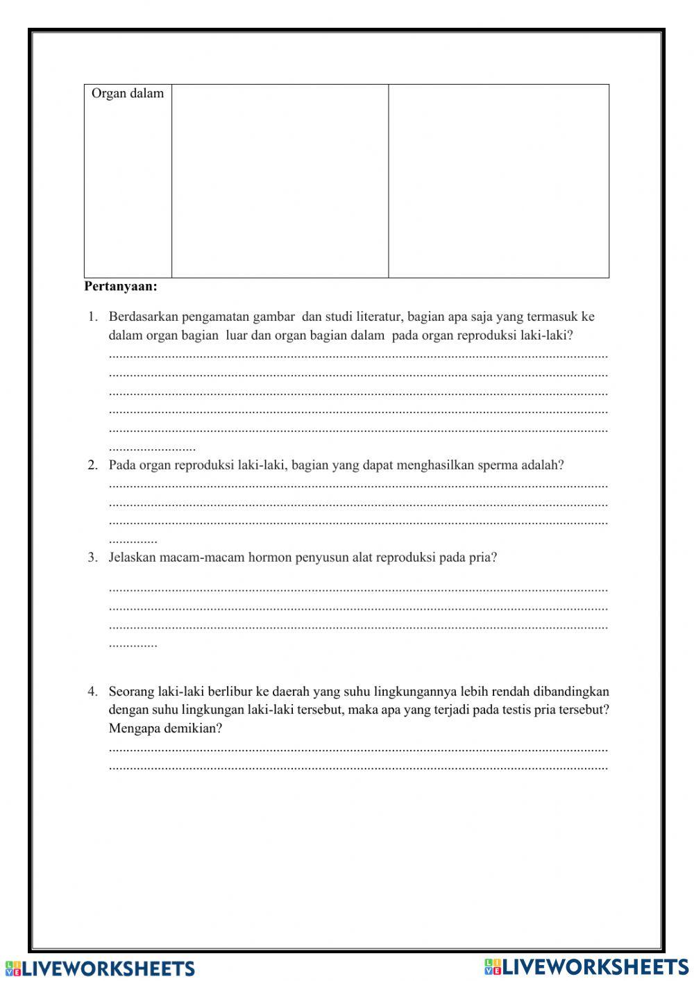 Sistem reproduksi manusia