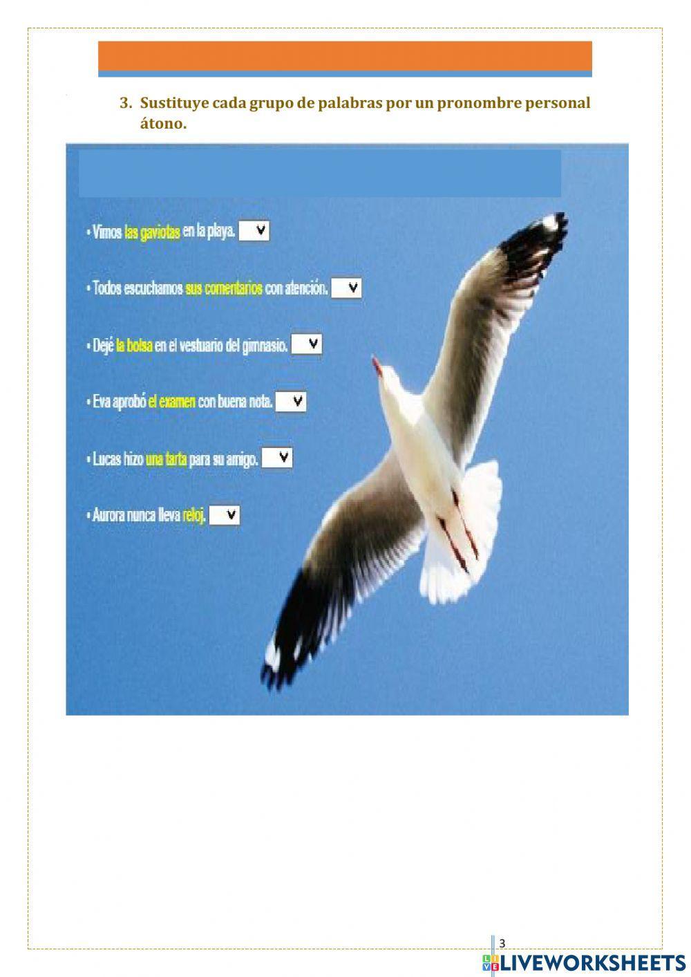 Taller de gramática II. Ficha 4.