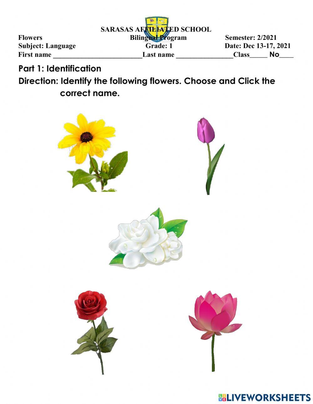 2Lang Week 7 Part 1 Flowers worksheet for Grade 1 Live Worksheets