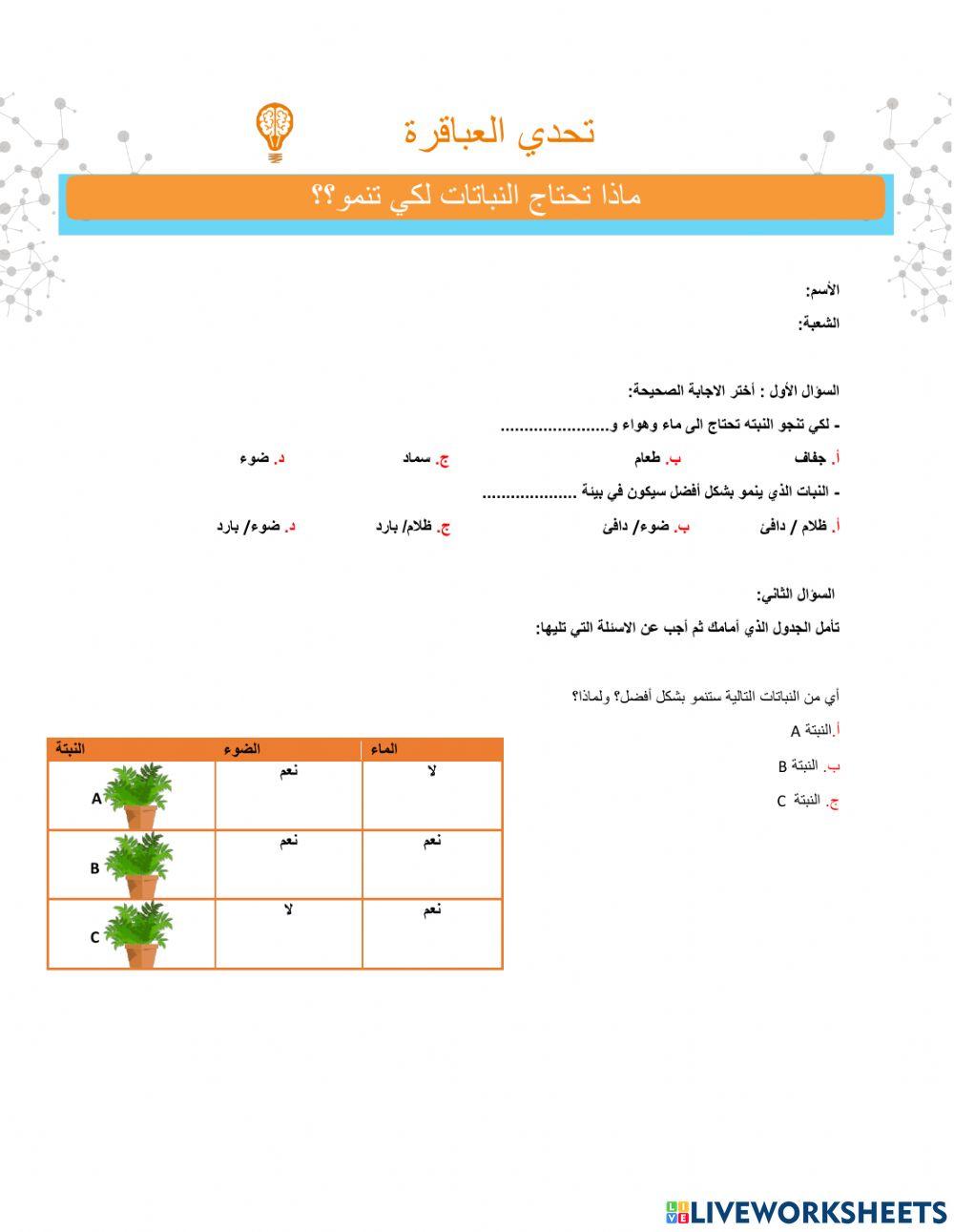 ماذا يحتاج النباتات لكي ينمو ؟