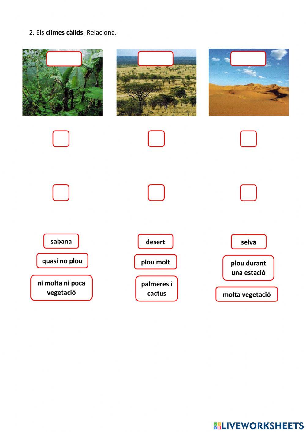 El temps i el clima. Els climes de la Terra 7