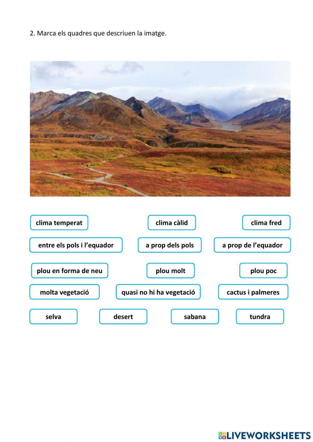 El temps i el clima. Els climes de la Terra 9