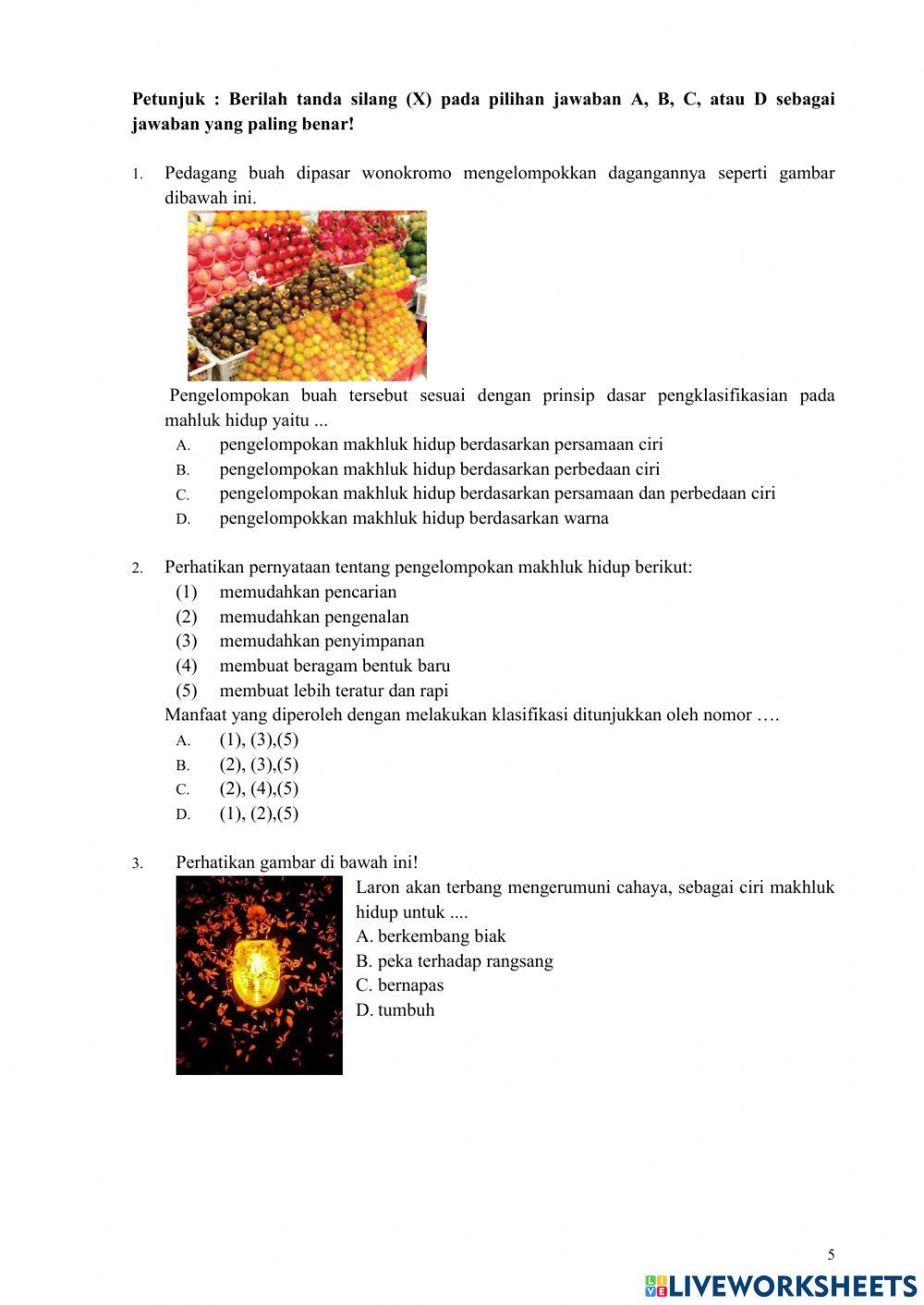 Klasifikasi Mahluk hidup