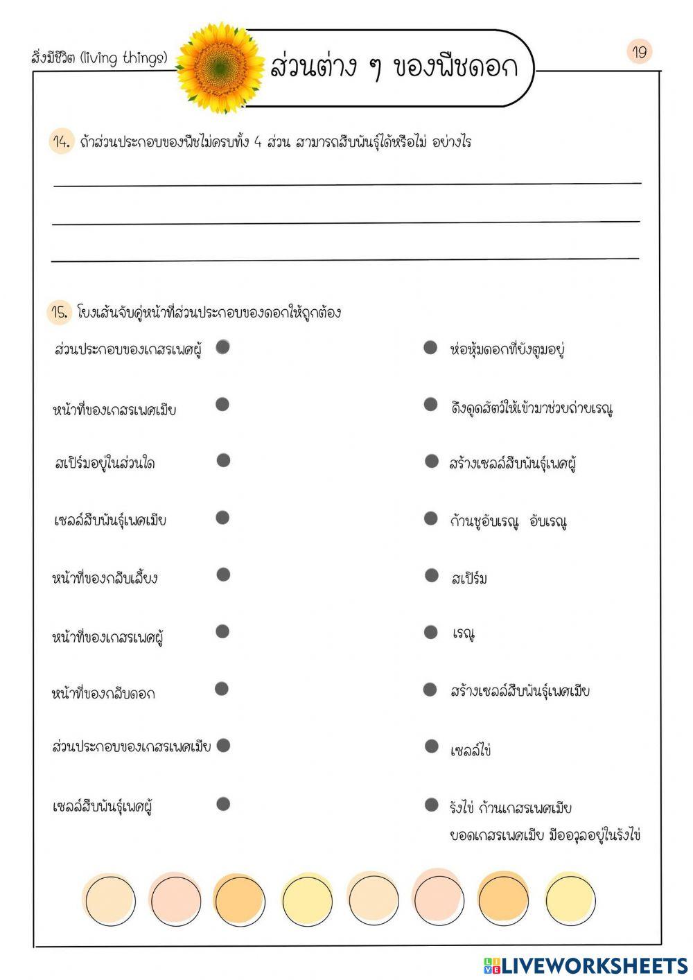 ส่วนต่างๆของพืชดอก