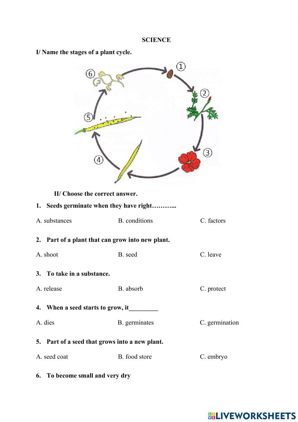 General revision - week 12
