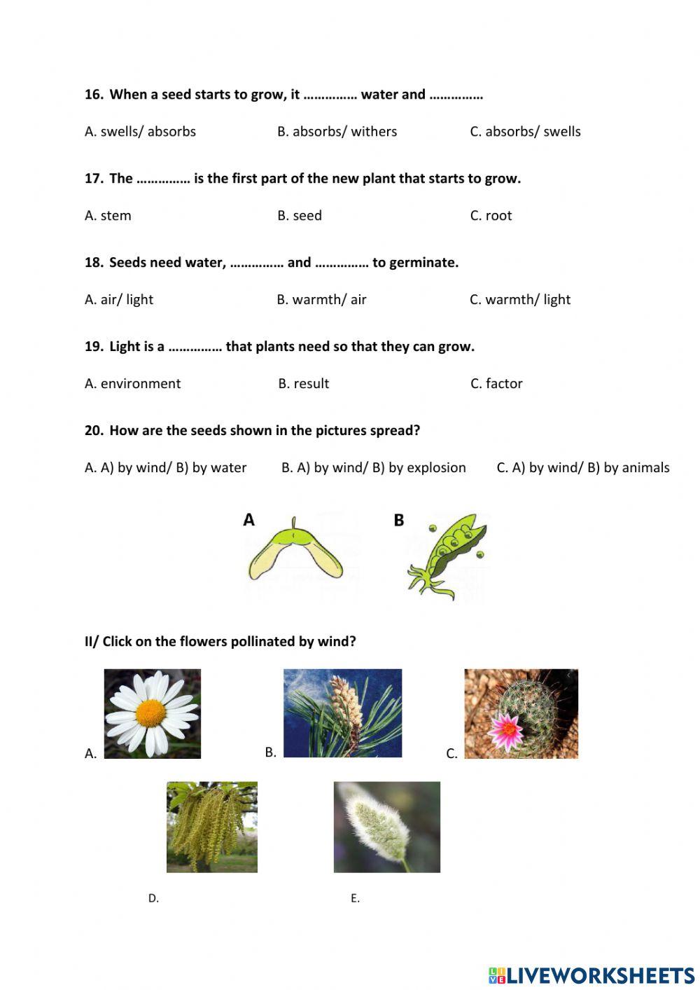 General revision - week 12