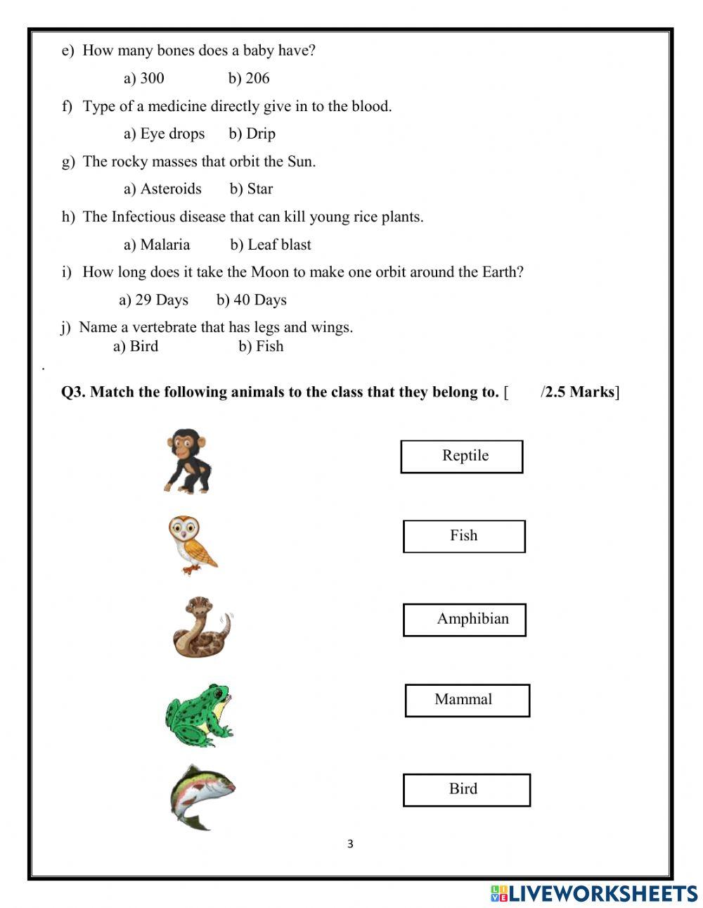 Exam Paper Grade 3 English