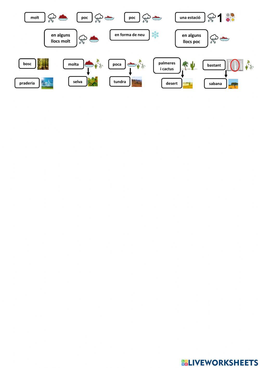 El temps i el clima. Els climes de la Terra 11