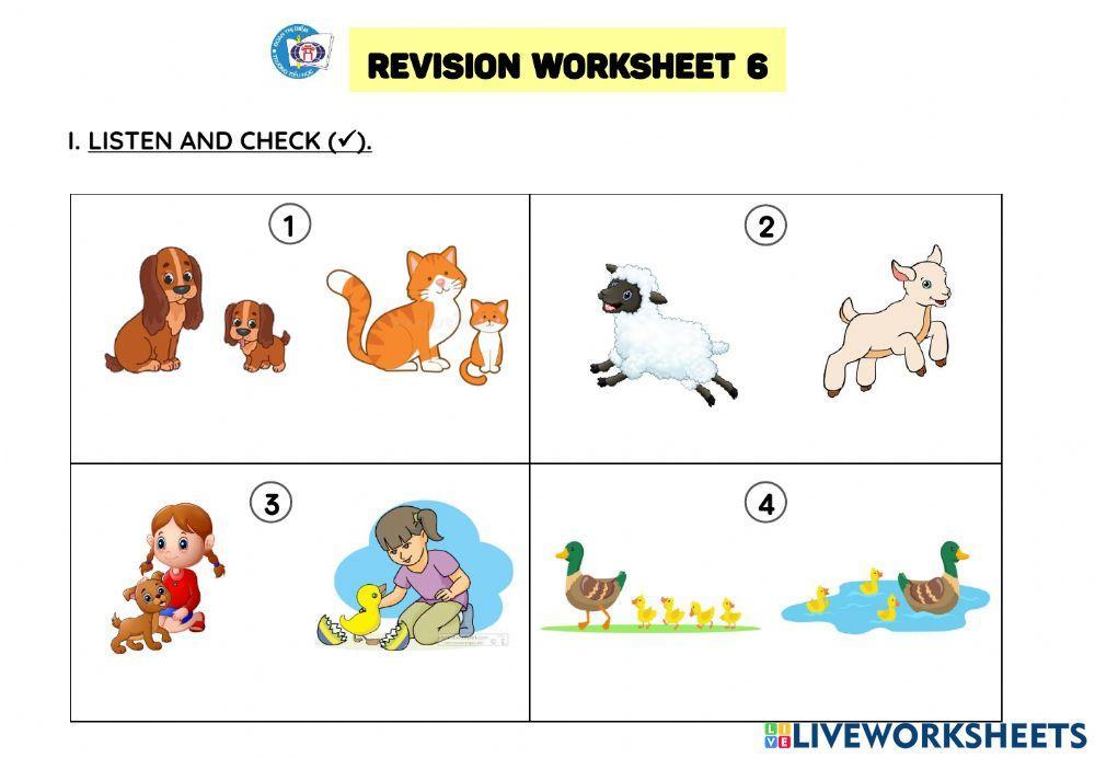 Revison Worksheet 6