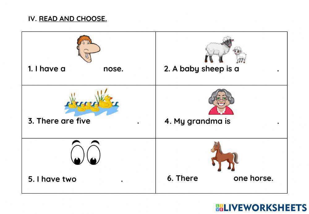Revison Worksheet 6