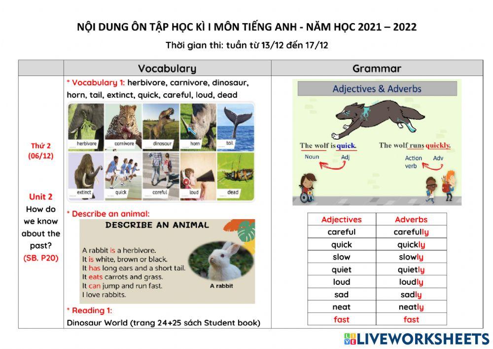 NIK3-Ôn tập học kì 1