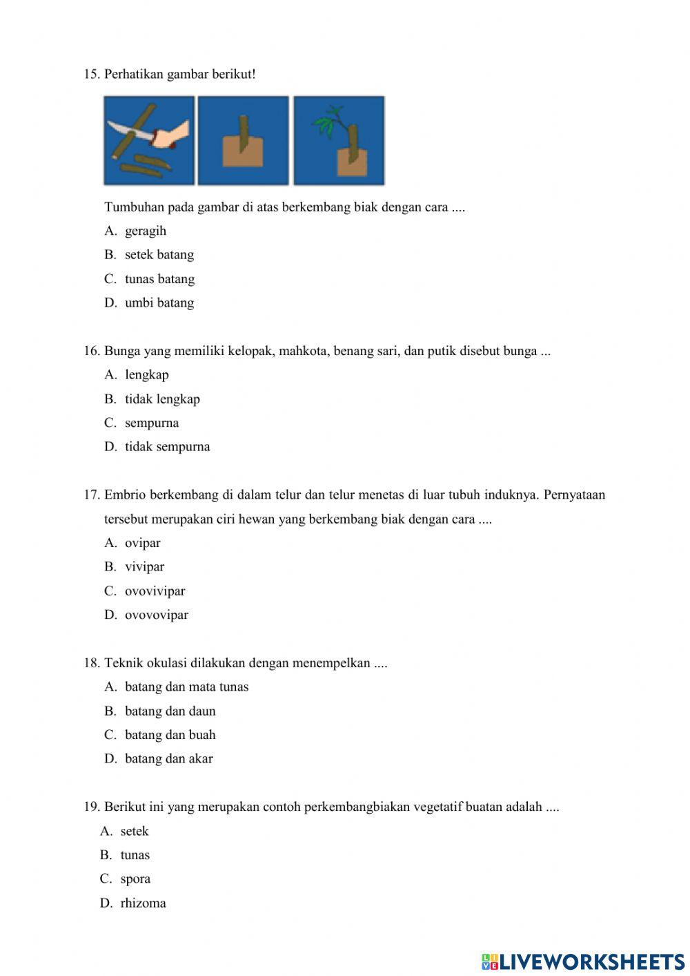 Soal PAS TEMA 1 KELAS 6