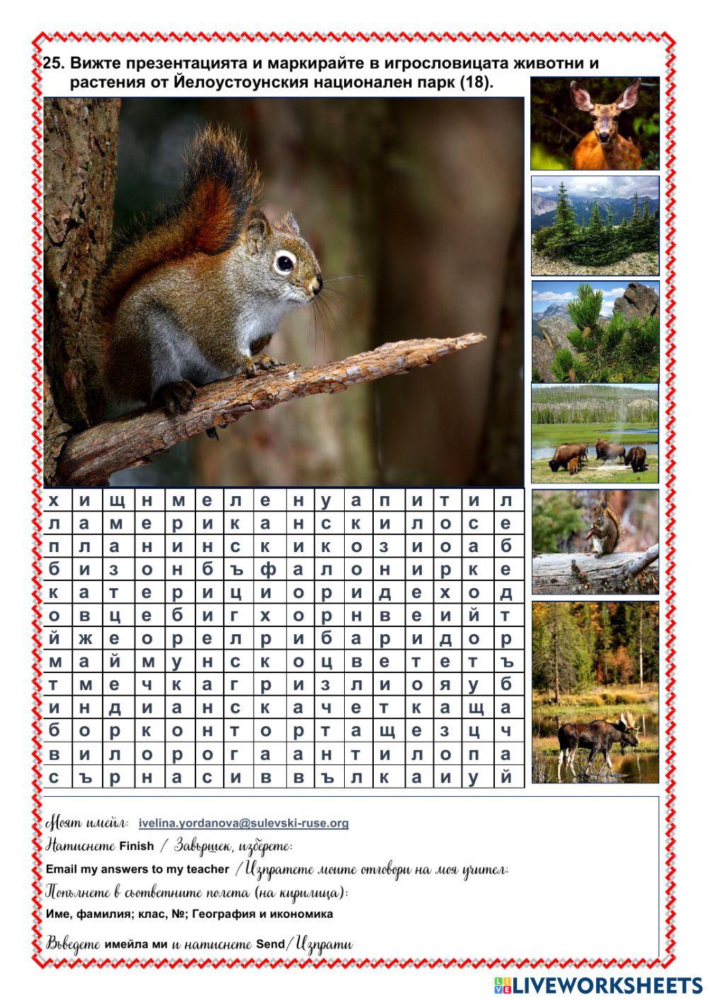 Северна Америка - природа и население