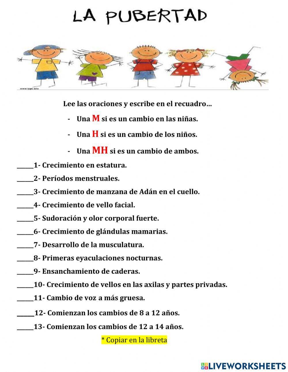 La Pubertad La Pubertad