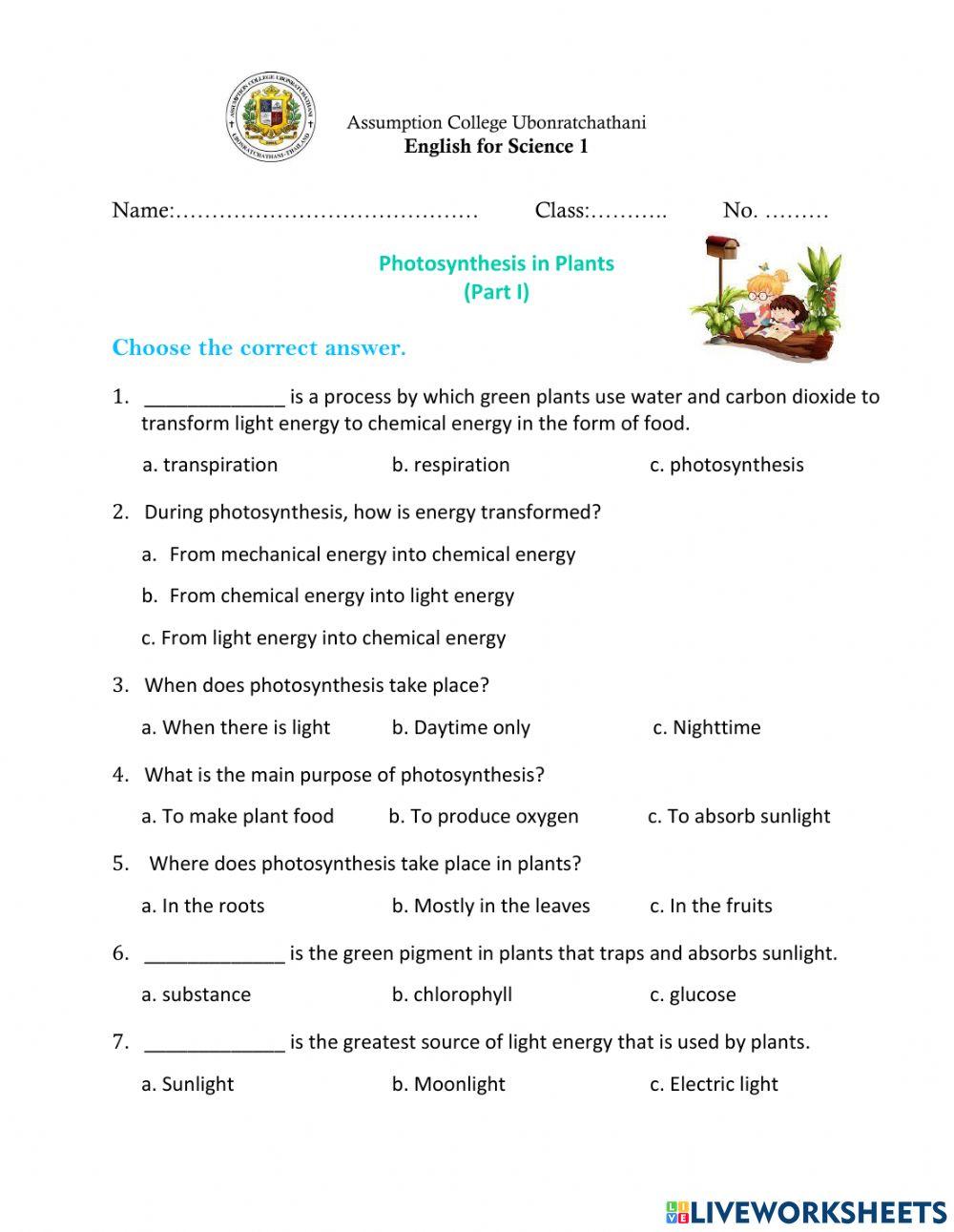 Photosynthesis in Plants (Part 1)