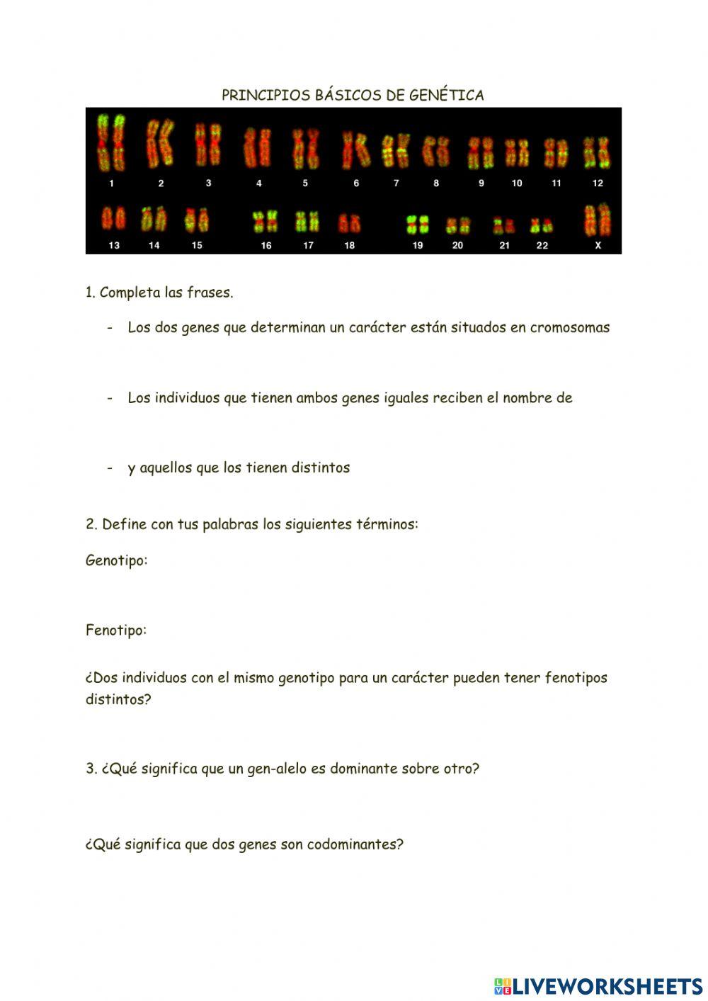 Principios básicos de genética