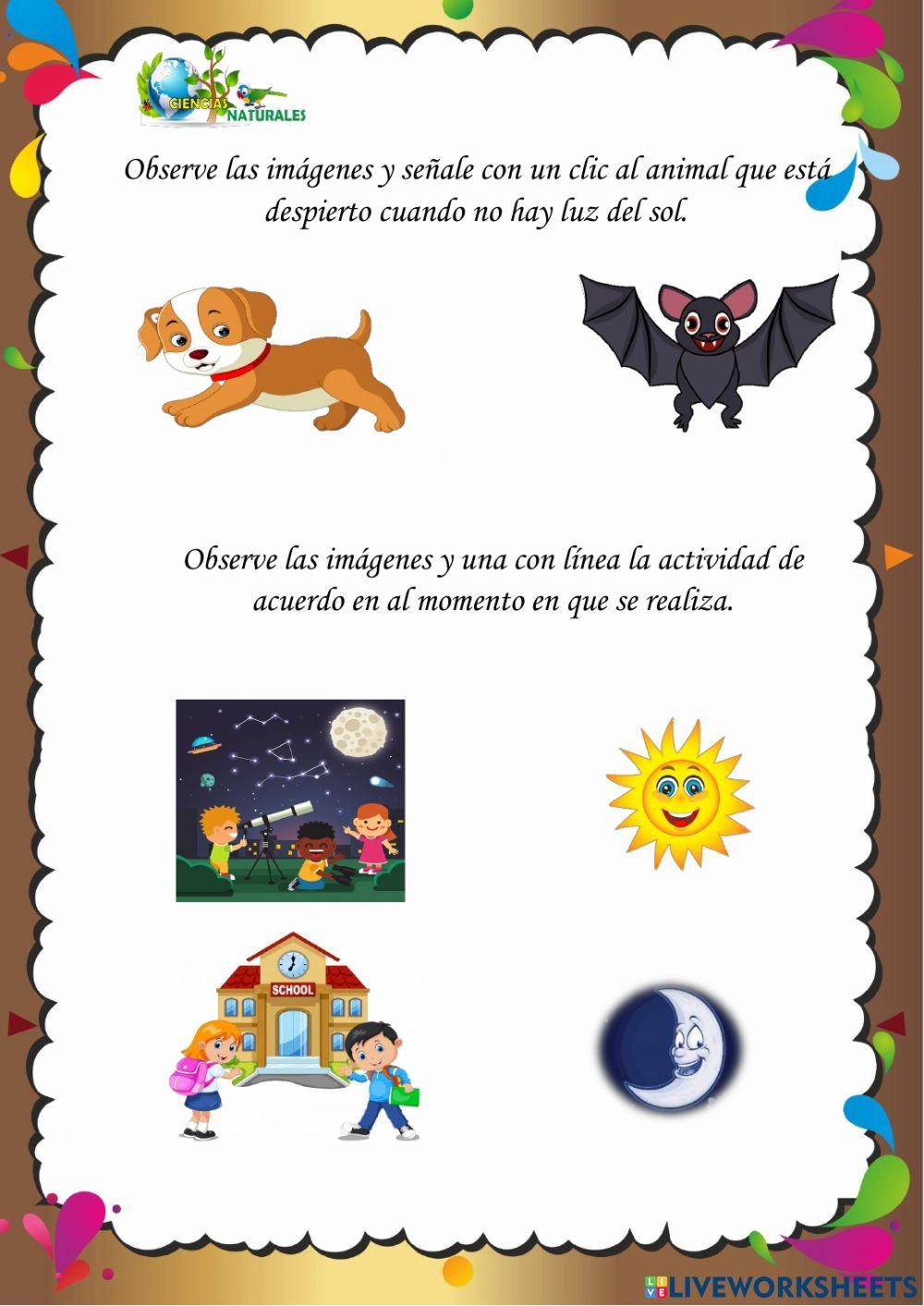 Ciclo diario