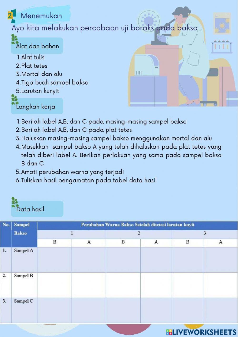 Uji Kandungan Boraks pada Bakso