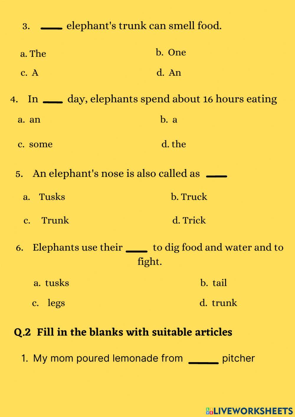 English Worksheet