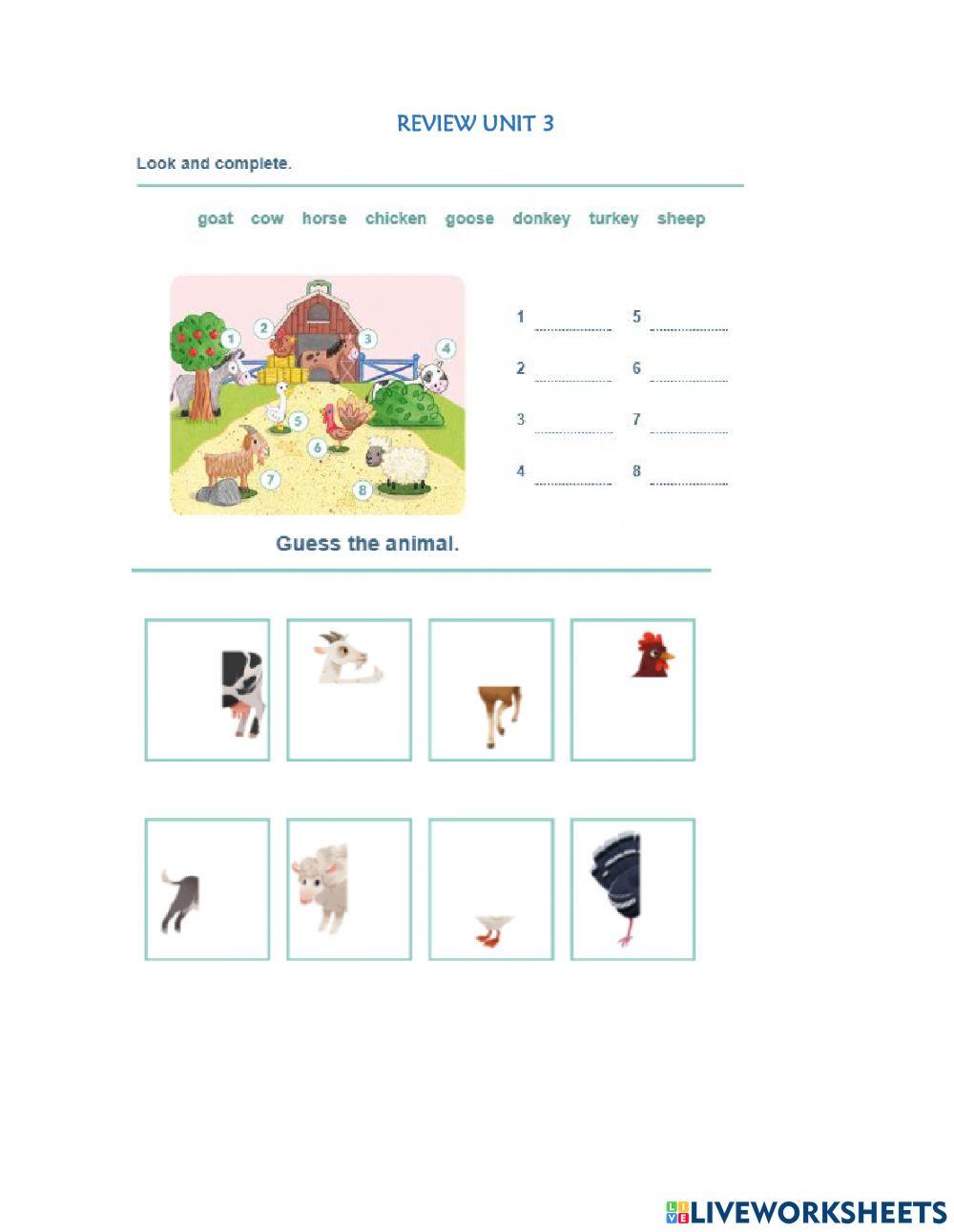 RISE AND SHINE REVISION UNITS 3-6