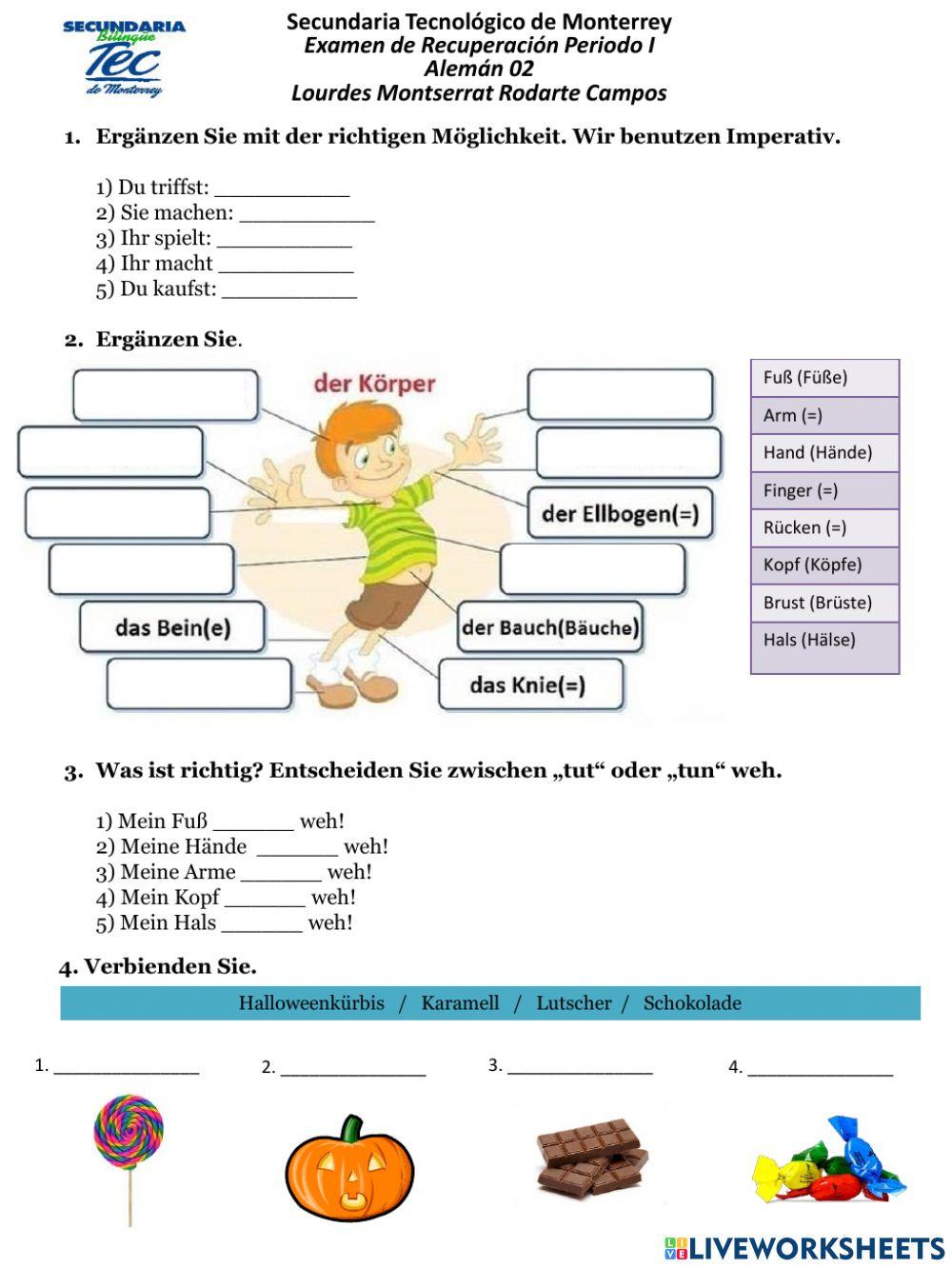 Deutsch II Genesungsprüfung - 1 Period