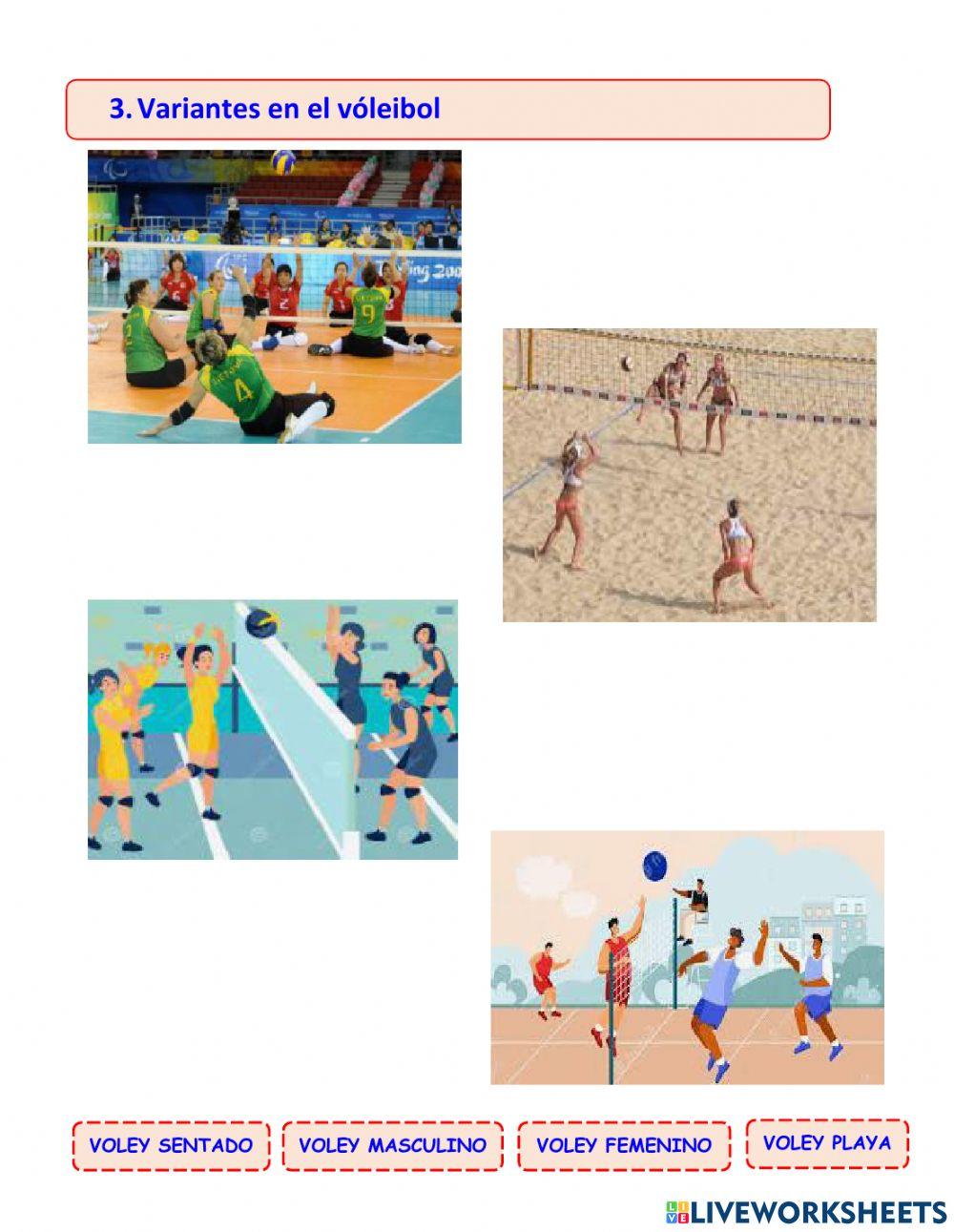 Experiencia 9 Actividad 4