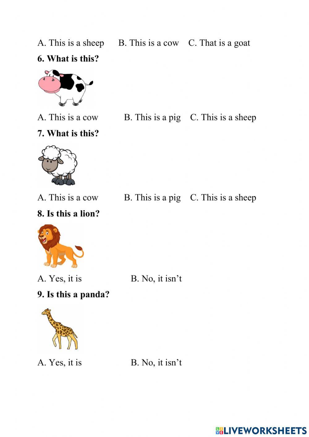 Grade 2 - lesson 4 - animals
