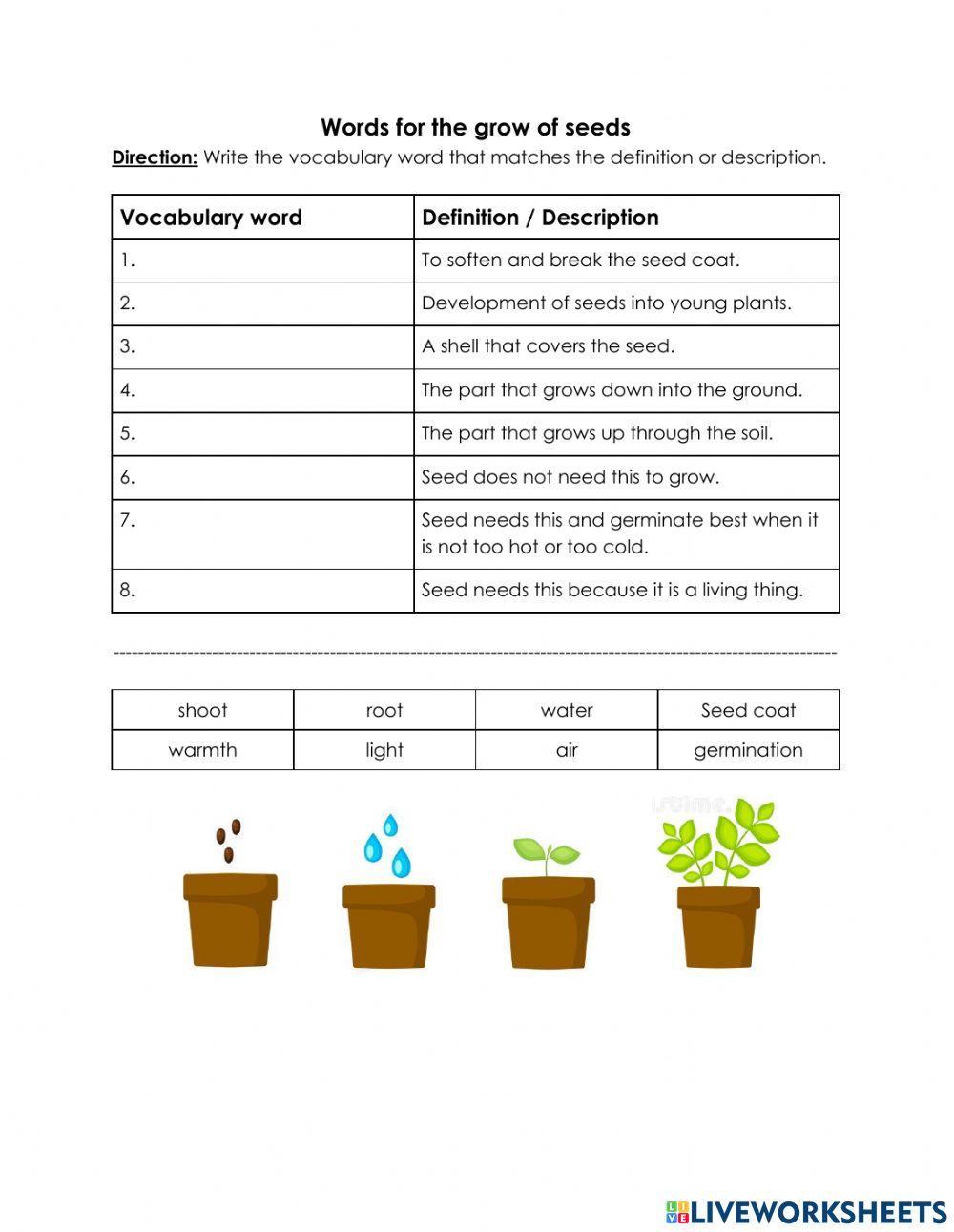 1711974 Part of seeds Irene LiveWorksheets