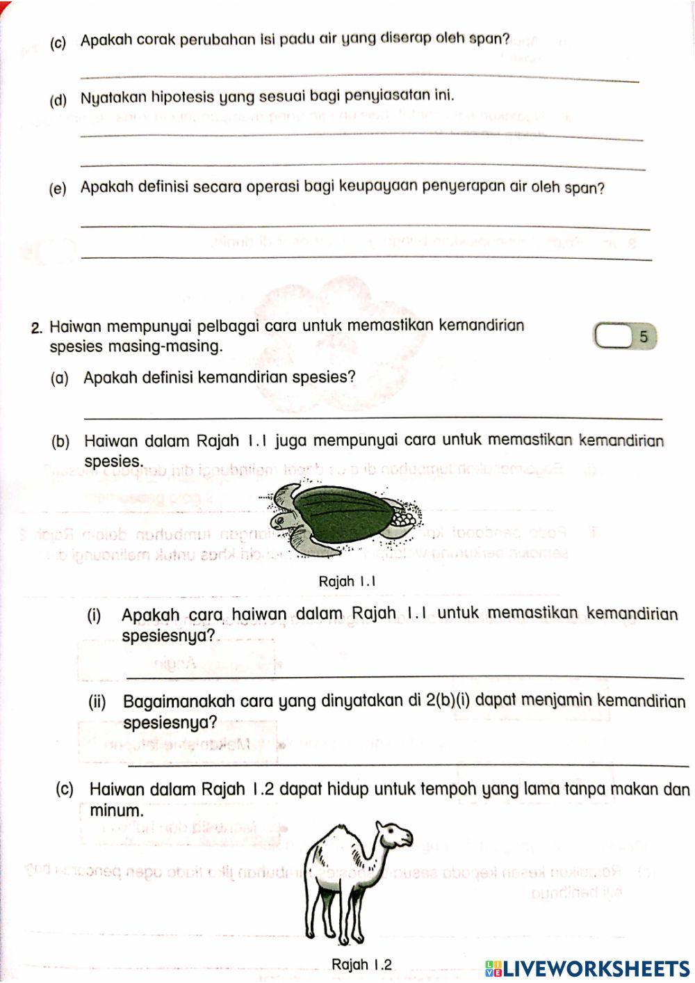 Ulangkaji Sains Tahun 5