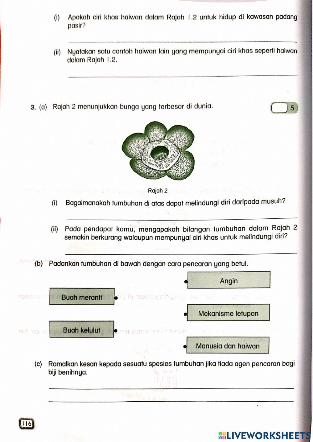 Ulangkaji Sains Tahun 5