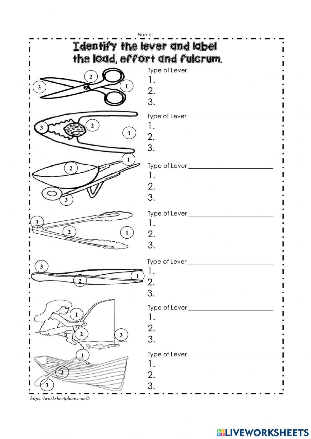 4217993 classes of levers worksheet kitti