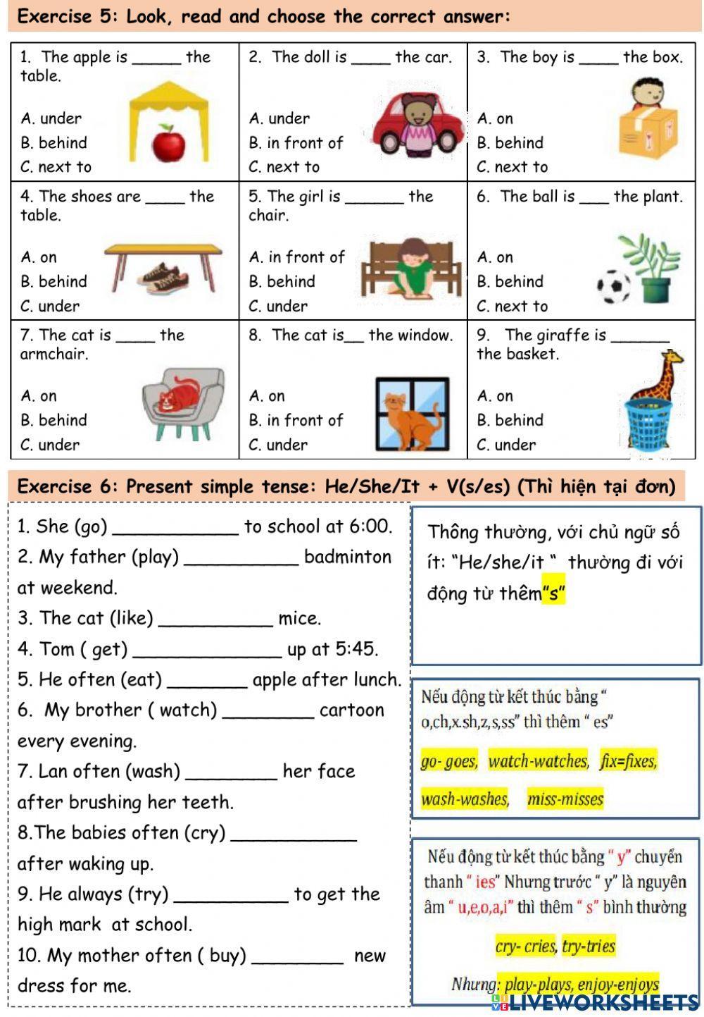 Revision Starters 3A- No 2