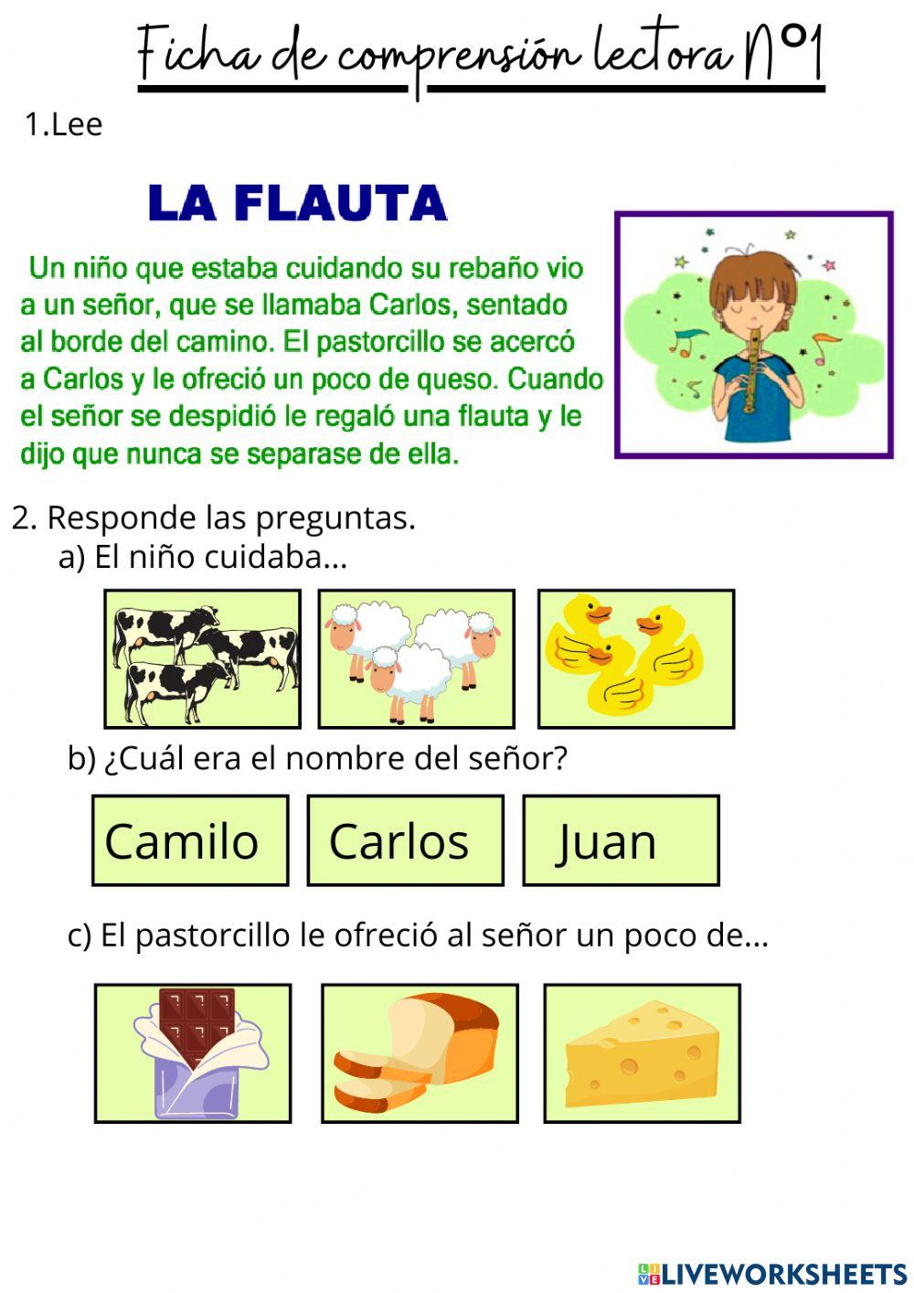 Ficha comprensión lectora N°1