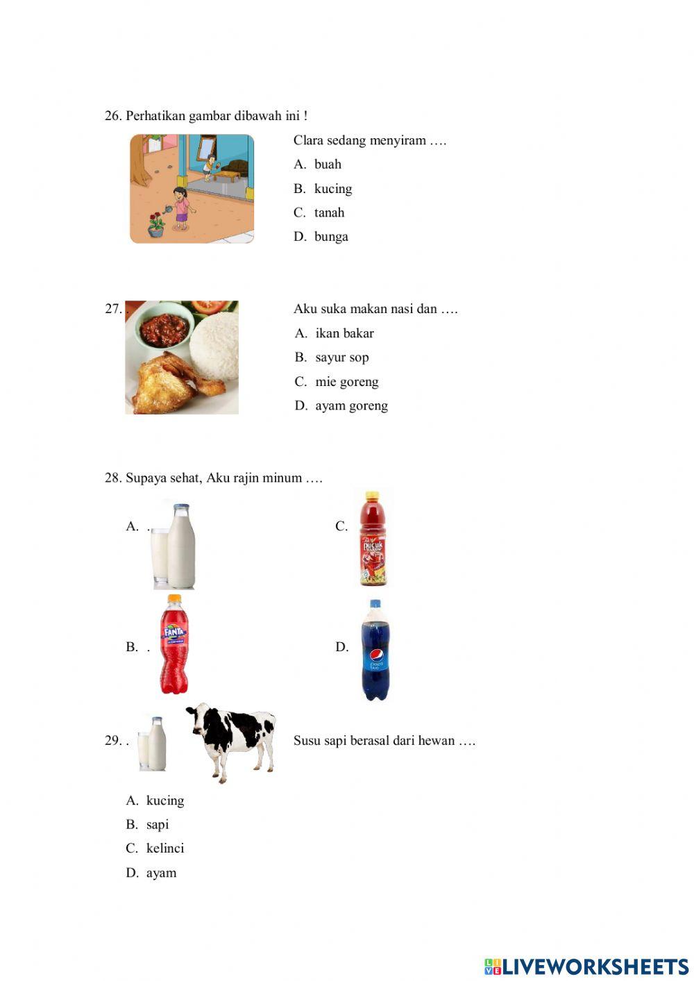PAS Bahasa Indonesia