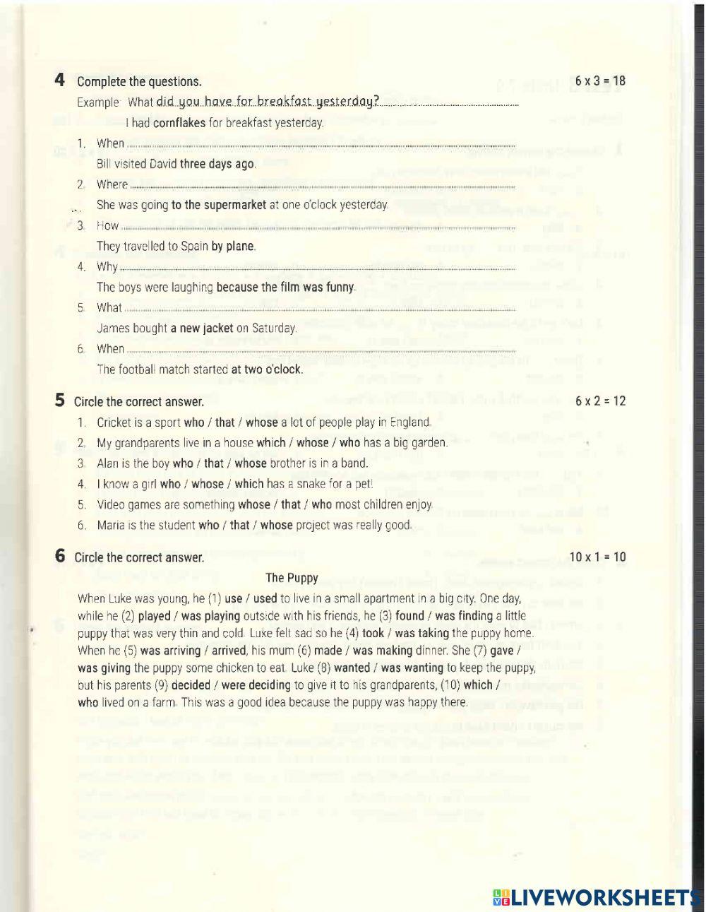 B senior grammar 4-6