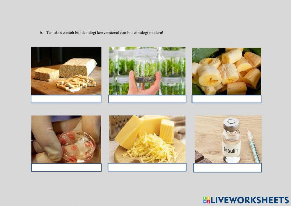LKPD Bioteknologi konvensional dan bioteknologi modern